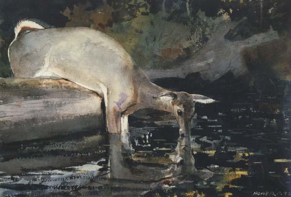 Winslow Homer Deer Drinking (mk44)